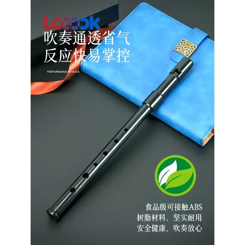 유니버스 식료품점 휘슬 하이 D 틴 플루트 리코더 초보 - Tin Whistle Flute 리뷰 및 가격
