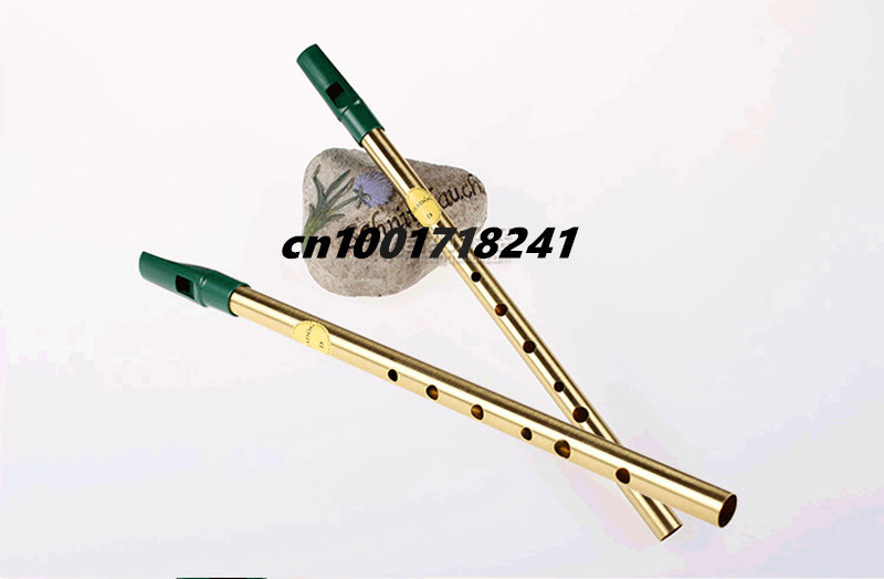 황동 아일랜드 휘슬 플루트 Feadog D 키 Tin  - Tin Whistle Flute 리뷰 및 가격