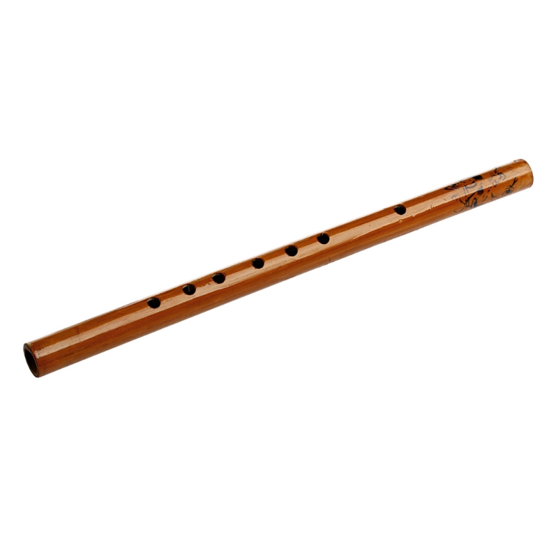 휴대용 6 홀 클라리넷 악기 플라스틱 레코더 악기 플루 - Tin Whistle Flute 리뷰 및 가격