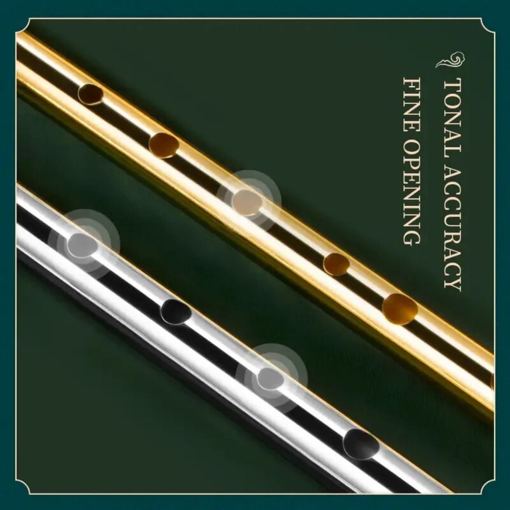 C/D 키 아이리시 틴 플루트 6홀 풍부한 음색 알루미 - Tin Whistle Flute 리뷰 및 가격