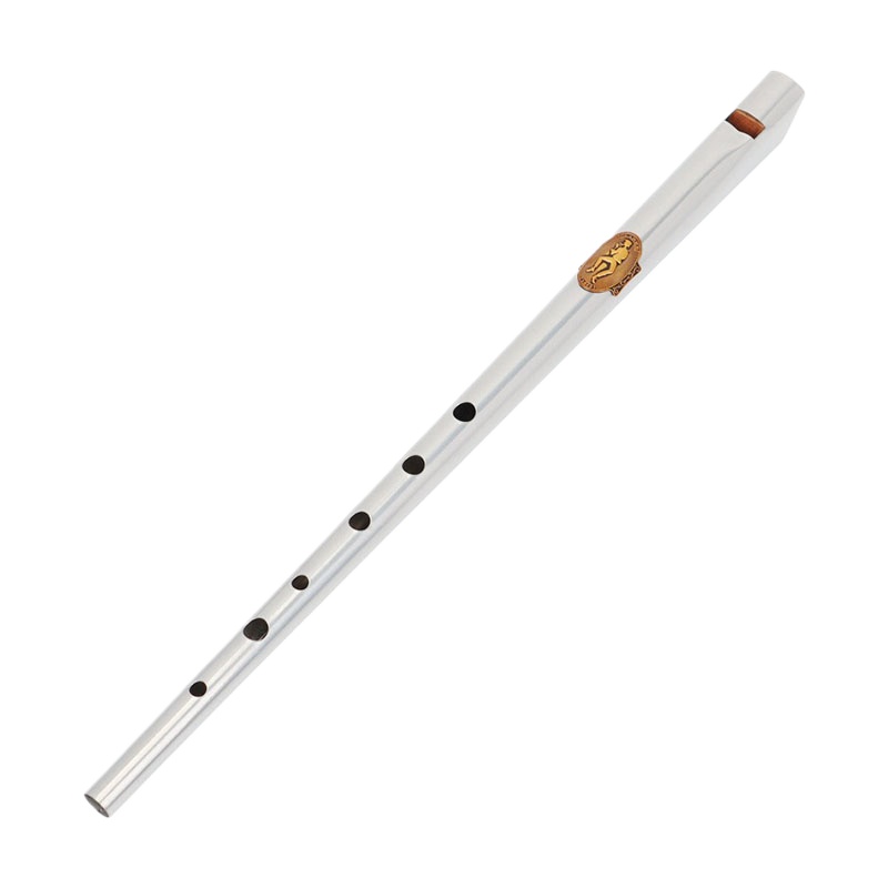 D/C 키 틴휘슬 학생 초보자 휴대용 리코더 성인 연습 - Tin Whistle Flute 리뷰 및 가격